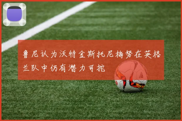 鲁尼认为沃特金斯托尼梅努在英格兰队中仍有潜力可挖