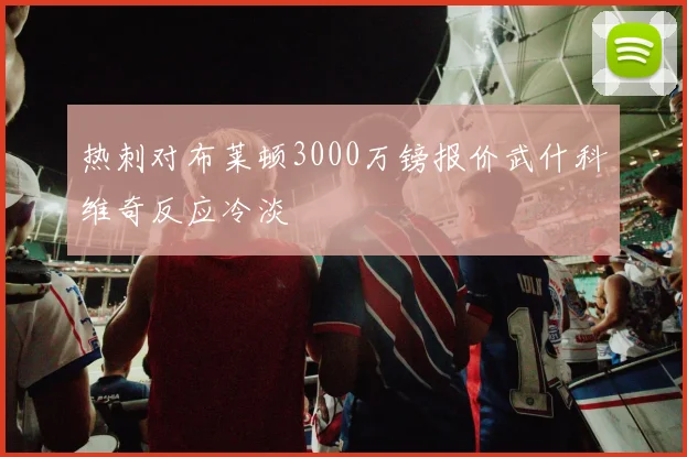 热刺对布莱顿3000万镑报价武什科维奇反应冷淡